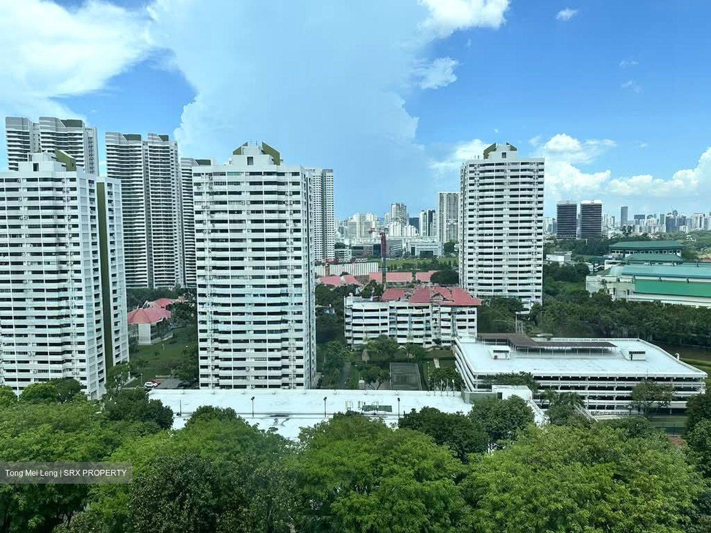 Braddell View (D20), Apartment #560479841